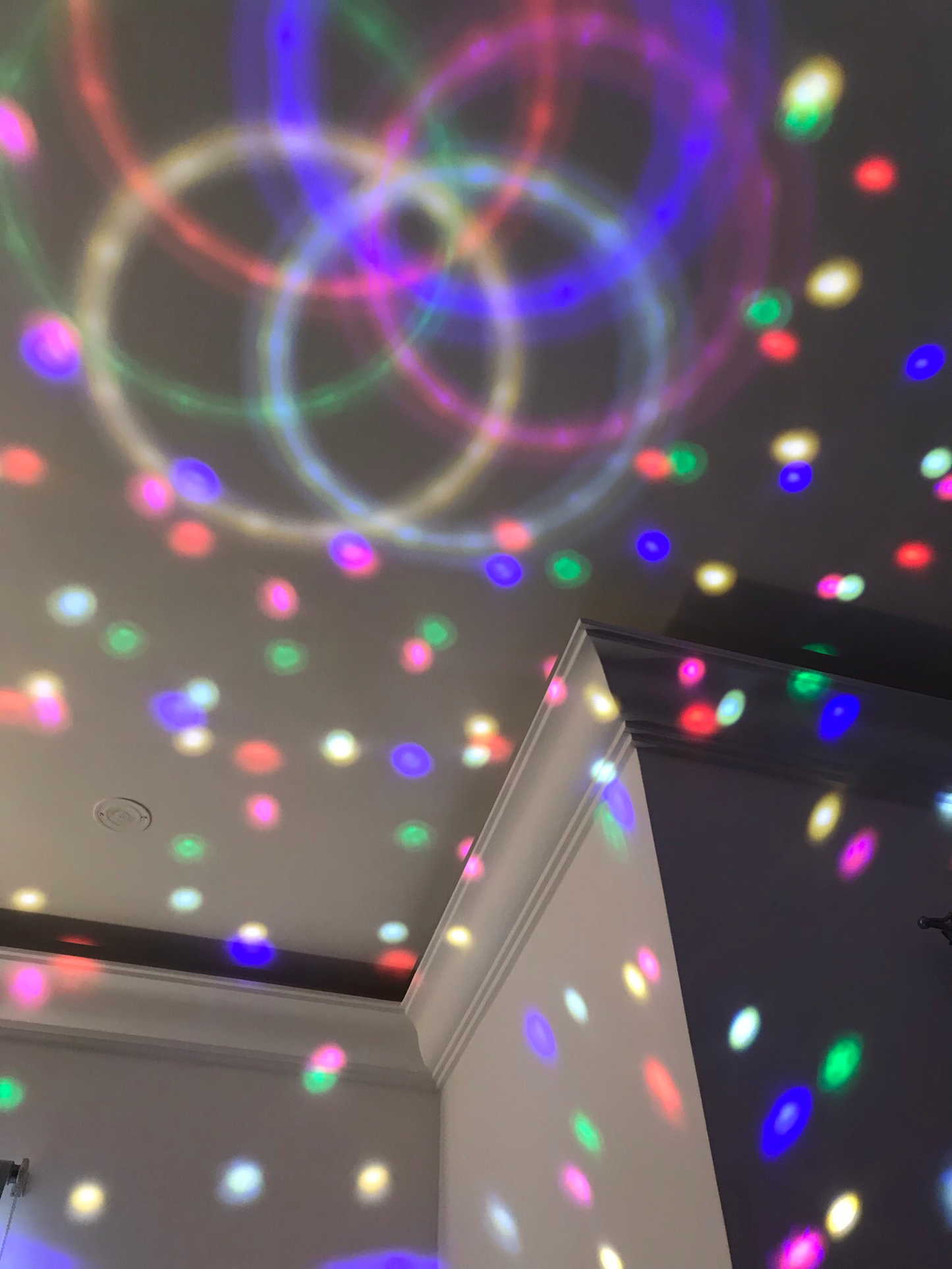 Bluetooth Disco Ball