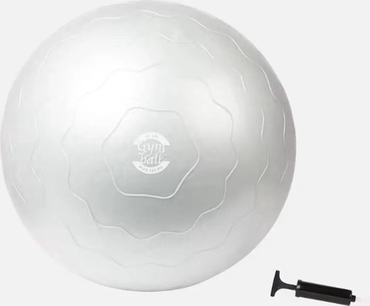 Gym Ball (65cm)