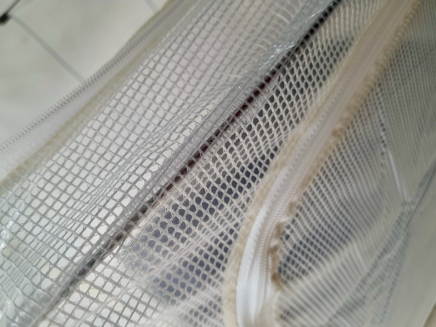 Transparent Storage Box