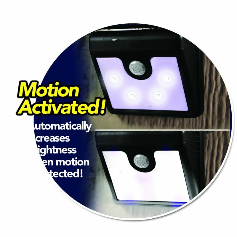 Everbrite Solar LED Light