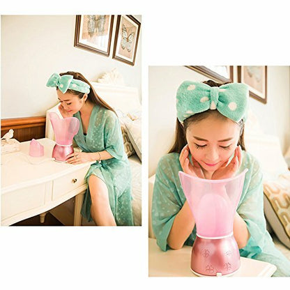 Facial Steamer