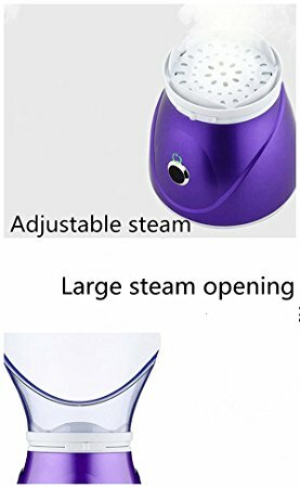 Facial Steamer