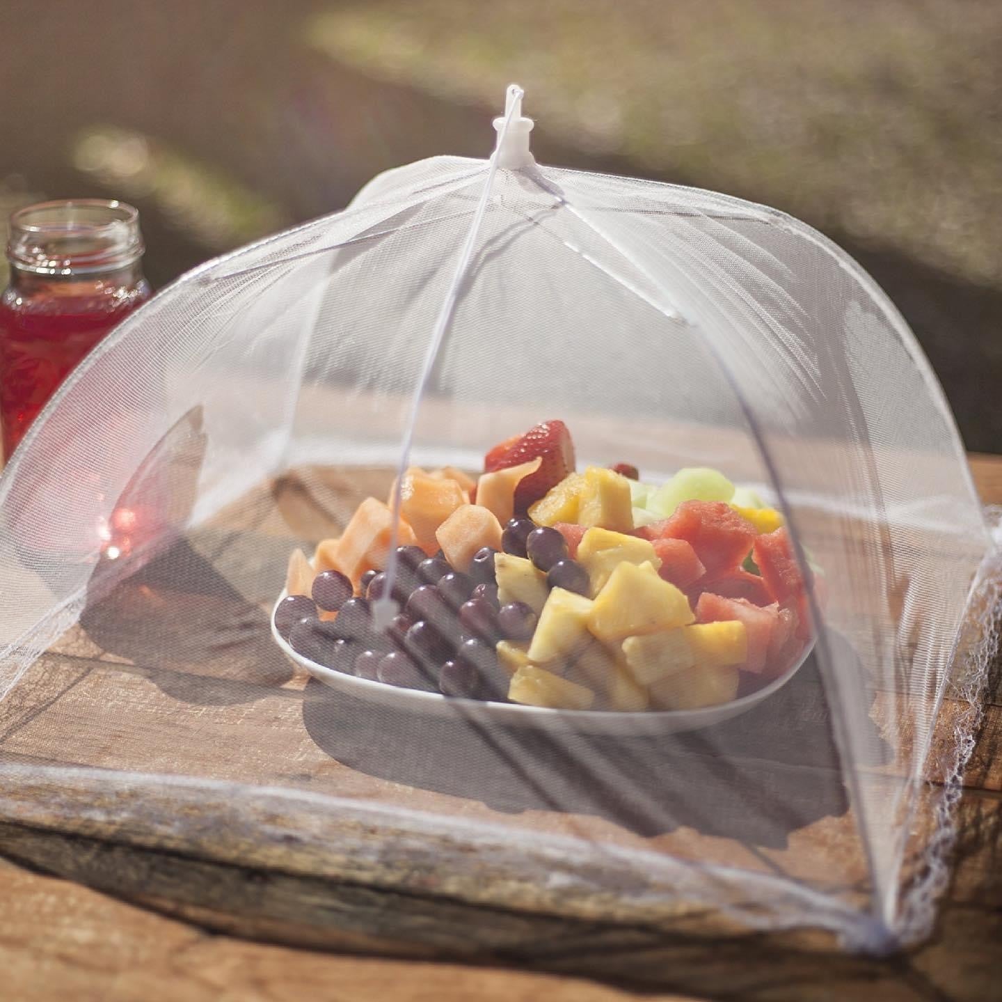 Mesh Food Cover