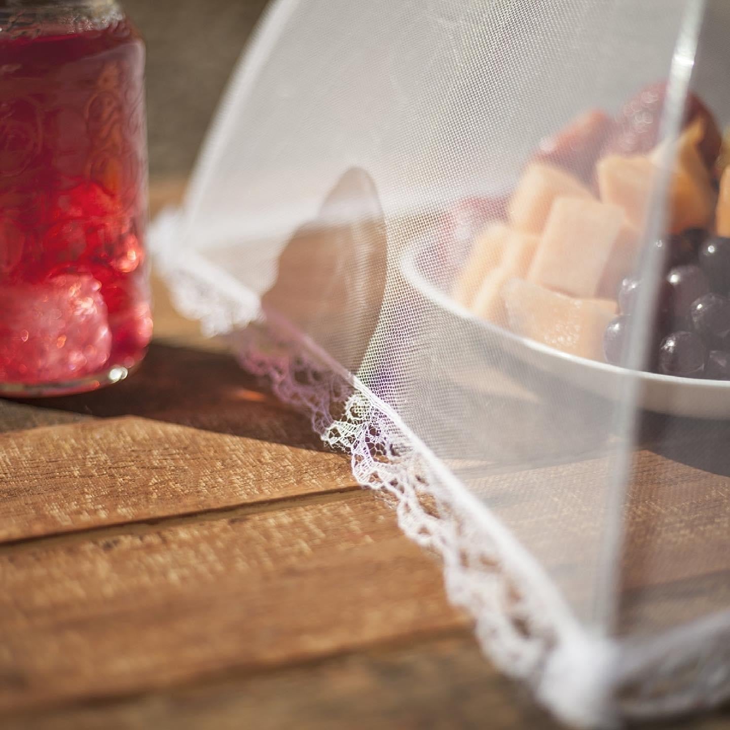 Mesh Food Cover