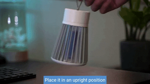 Mosquito Shock Lamp