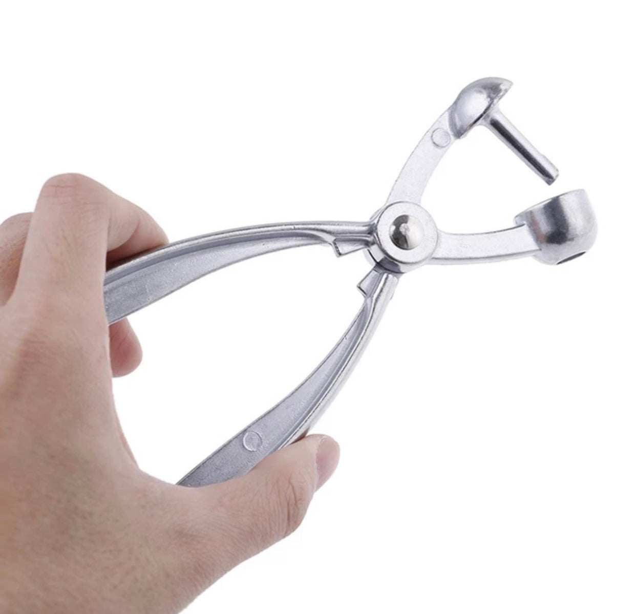Olive & Cherry Pitter