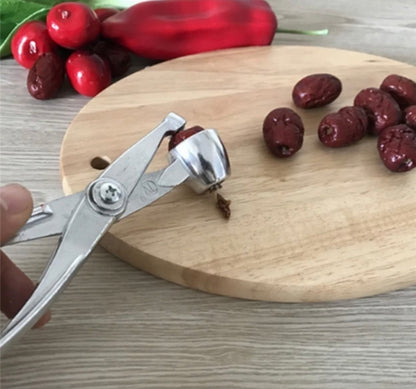 Olive & Cherry Pitter