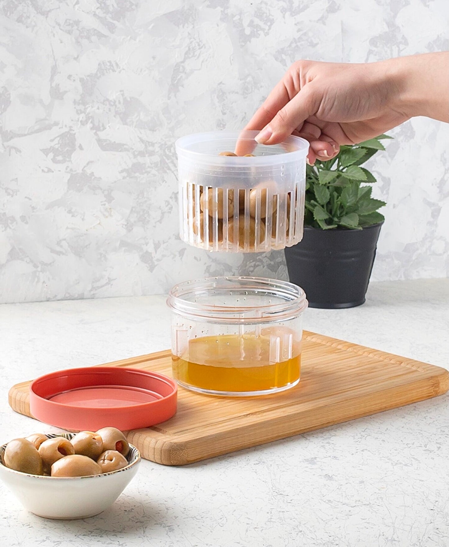 Olive Container (ORG-95)
