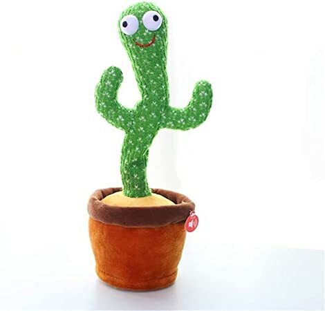 Dancing Cactus