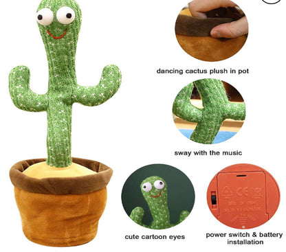 Dancing Cactus