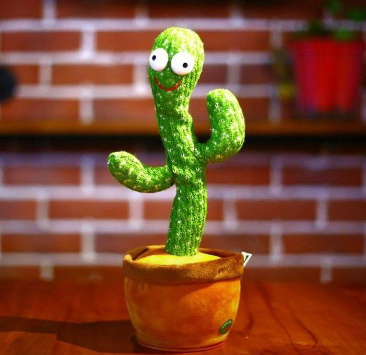 Dancing Cactus