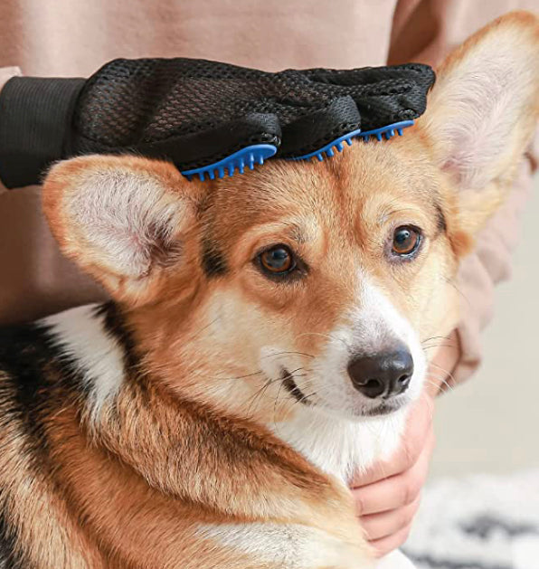 Deshedding Glove