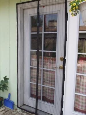 Door Mesh