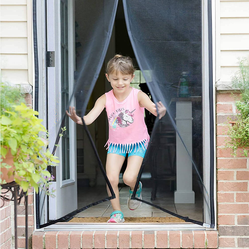 Door Mesh