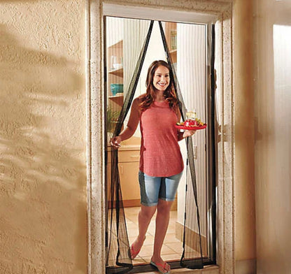 Door Mesh