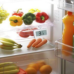 Fridge Thermometer