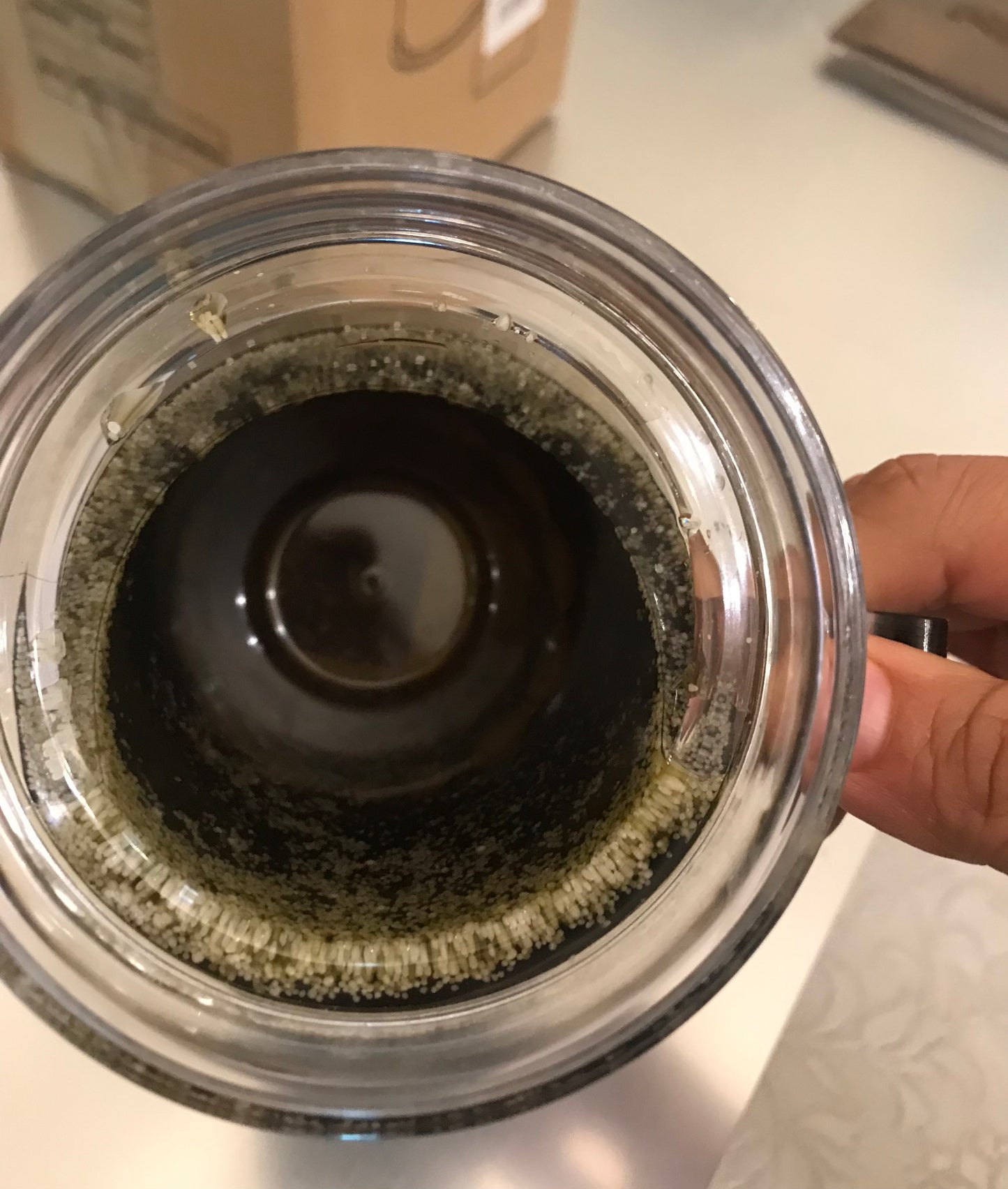Frosty Cup (Cola)