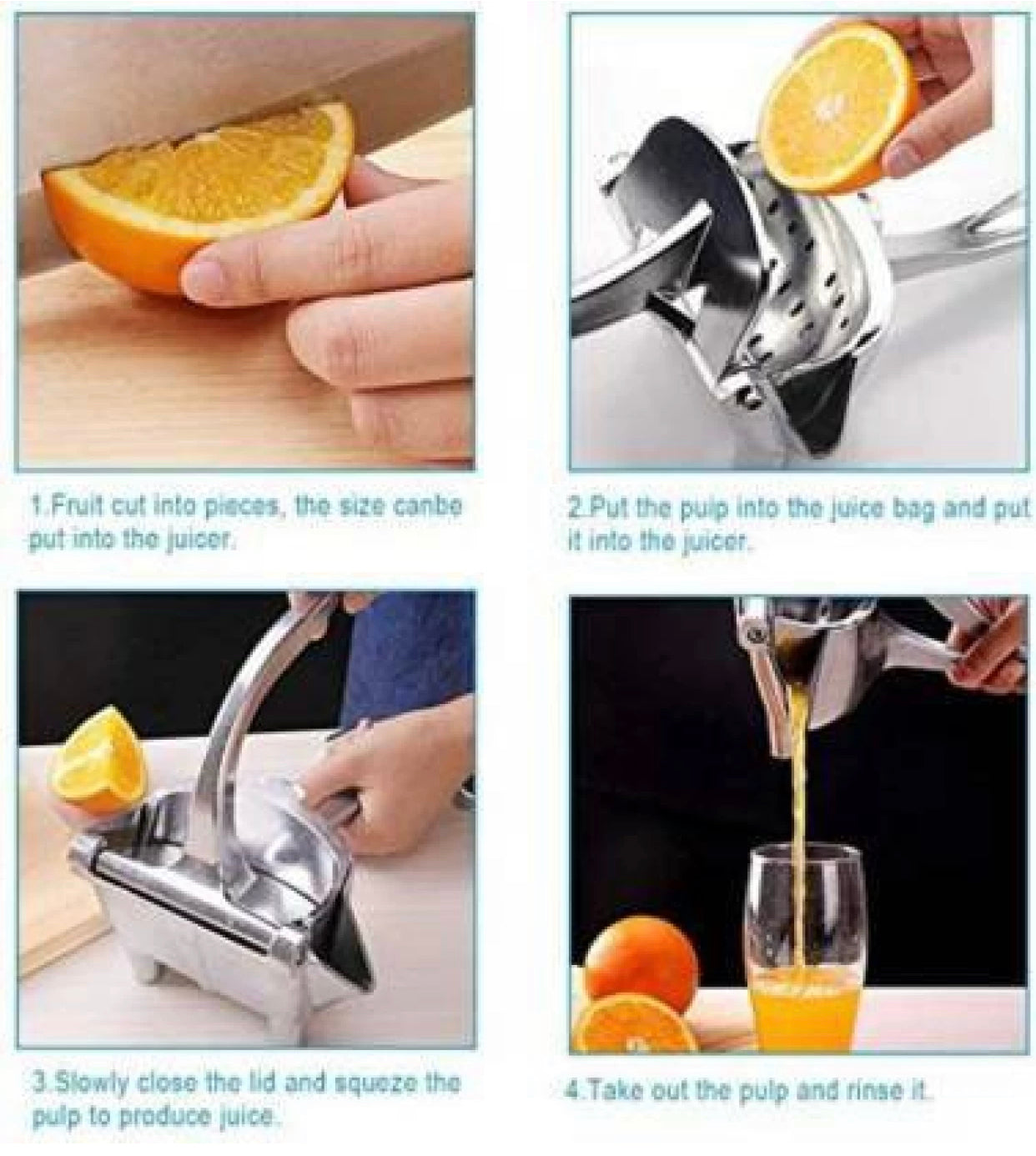 Fruit Press