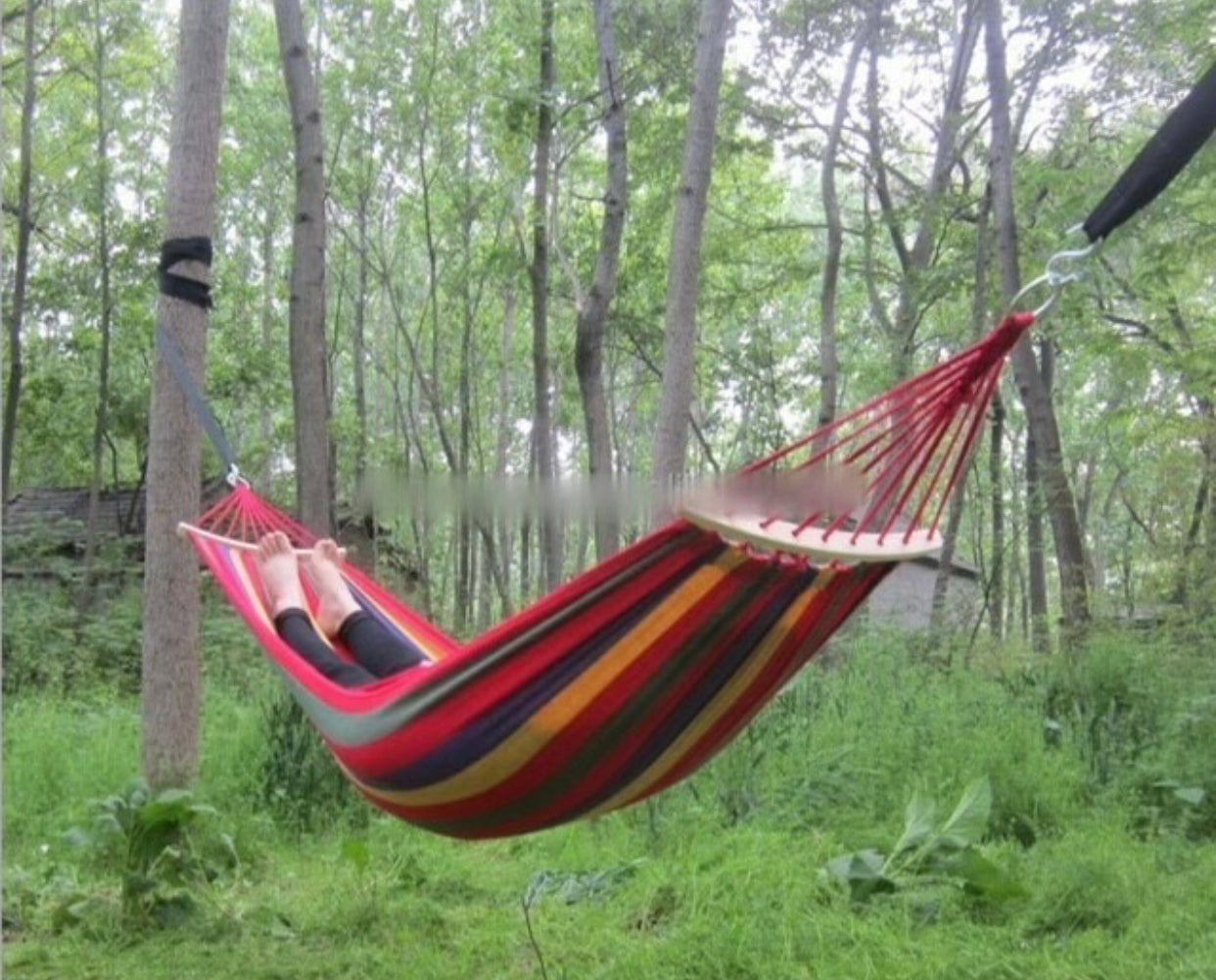 Hanging Tree Hammock