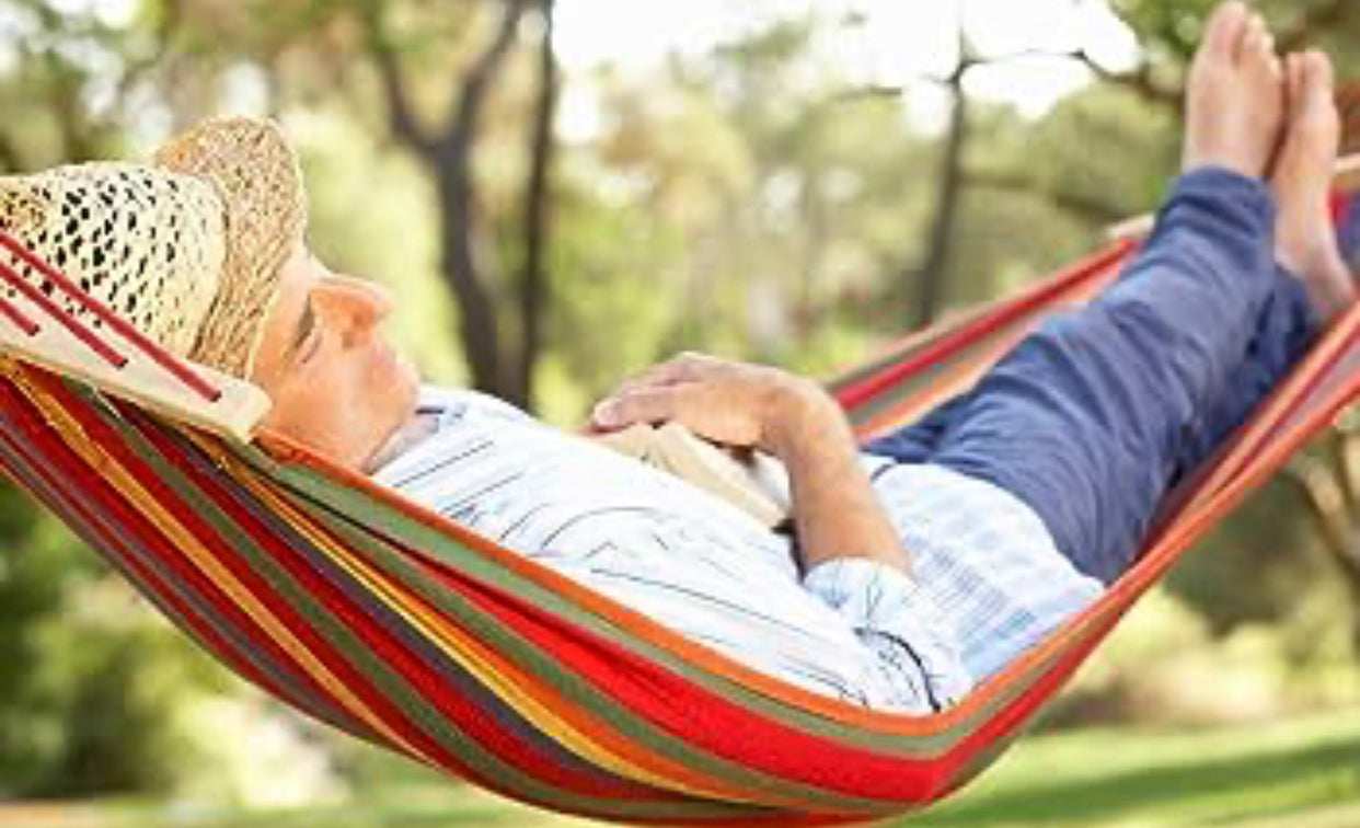 Hanging Tree Hammock