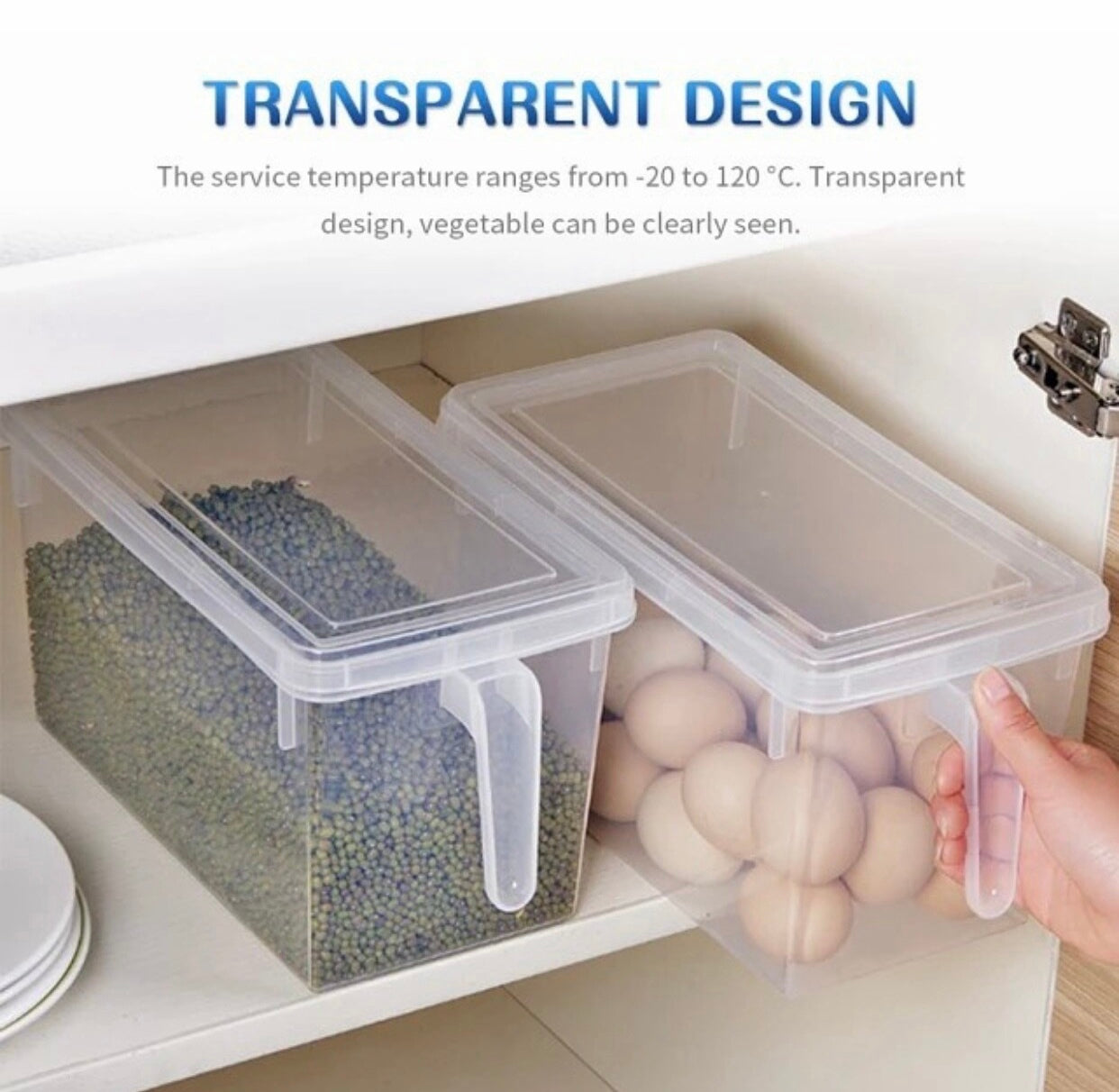 Handled Container