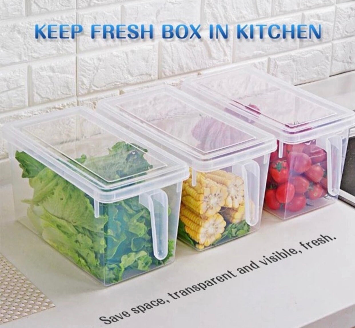 Handled Container
