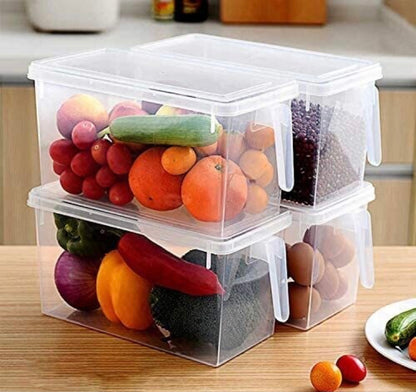 Handled Container