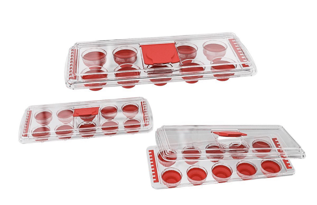 Ice Cone Tray