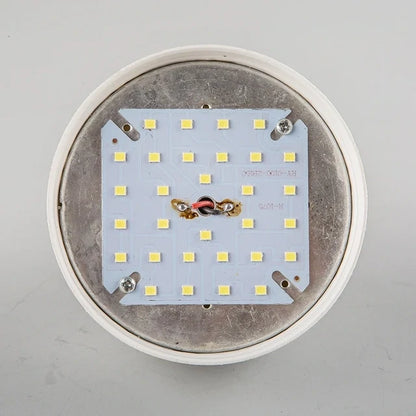 LED Bulb
