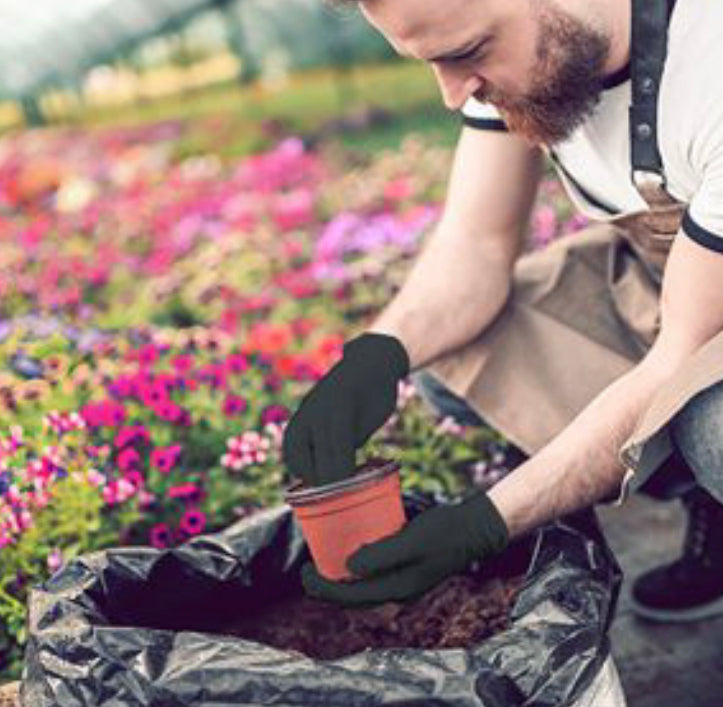 Black Disposable Gloves (100-Pc)