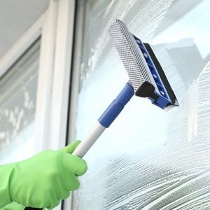 2-in-1 Glass Cleaner (Black)