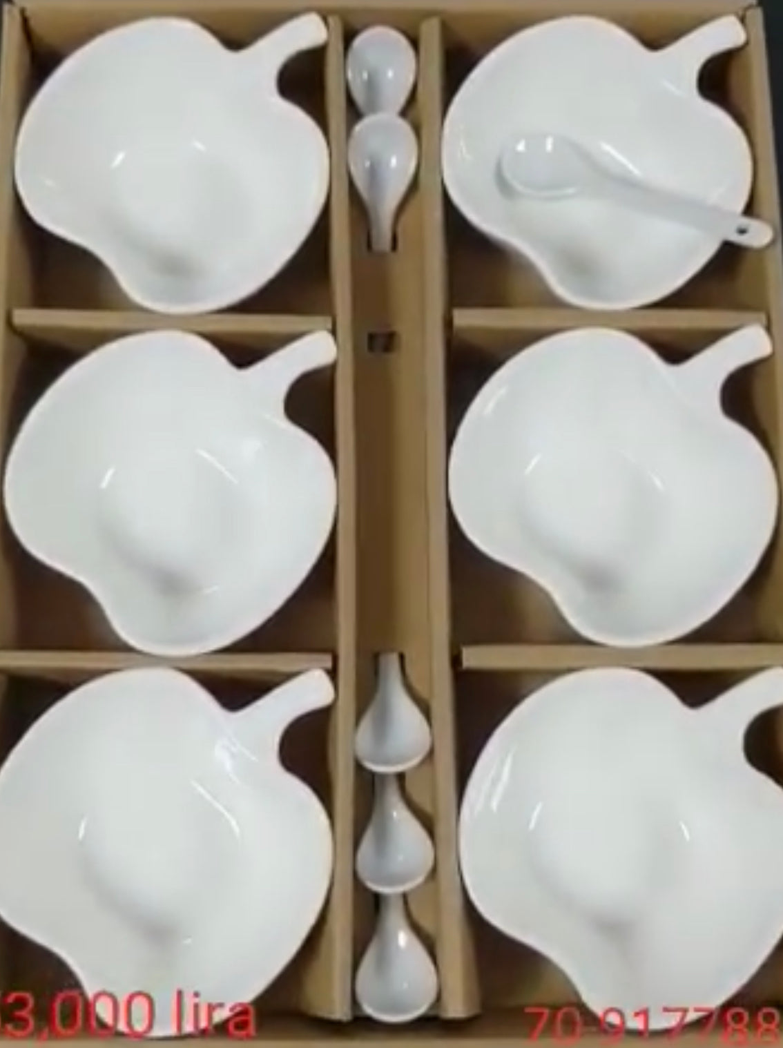 6-Pc Bowls w/Spoons