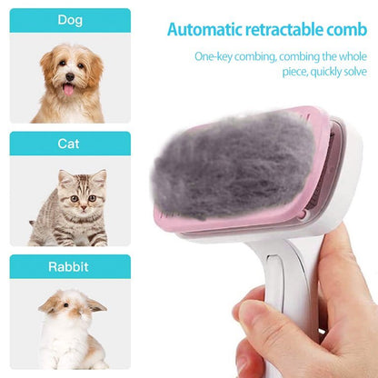 Auto-Clean Pet Brush
