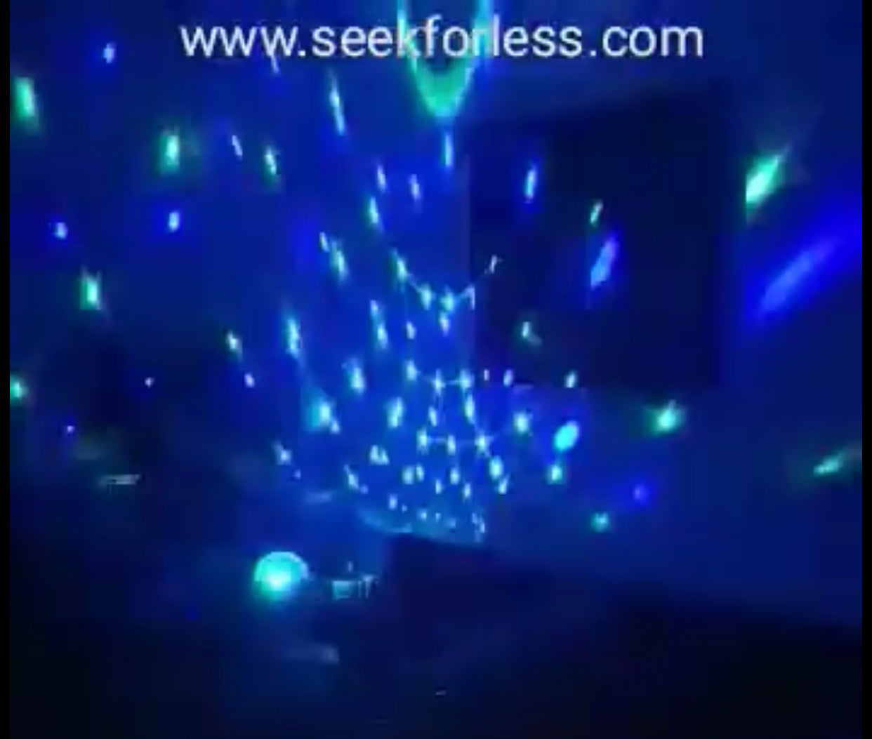 Bluetooth Disco Ball