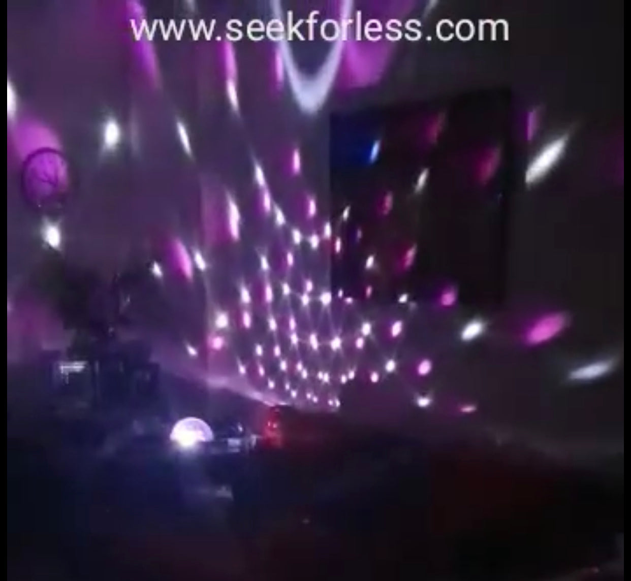 Bluetooth Disco Ball