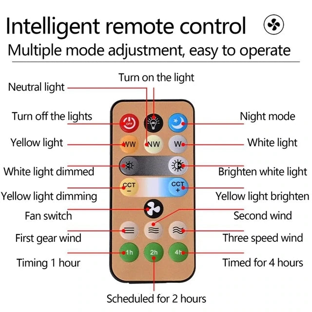 Ceiling LED Fan
