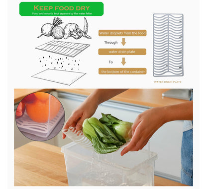 Container With Handle