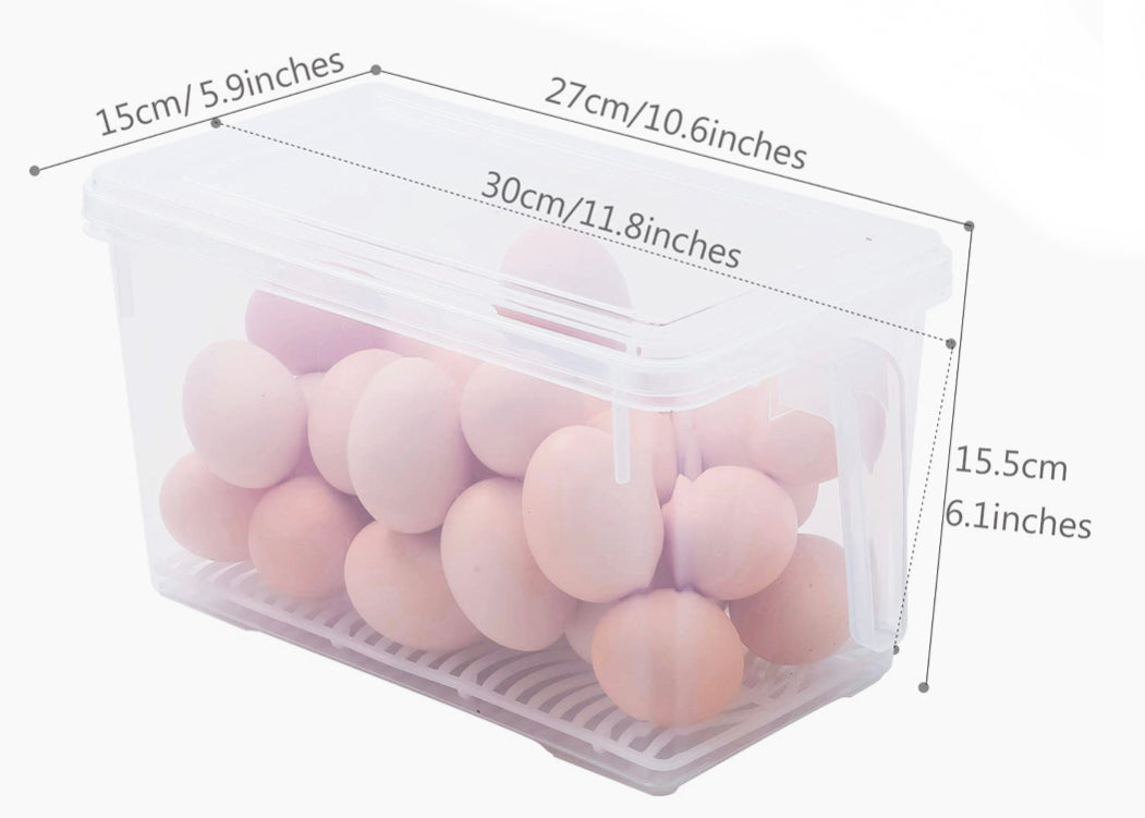 Container With Handle