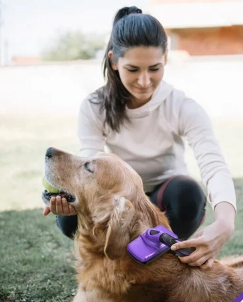 Pet Grooming Kit