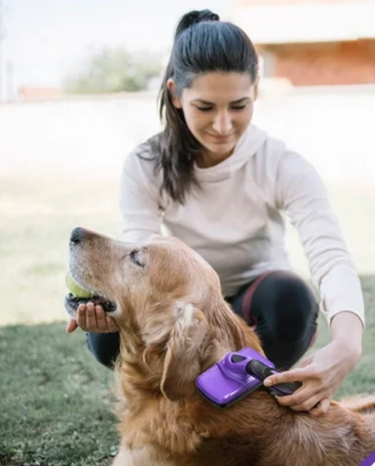 Pet Grooming Kit