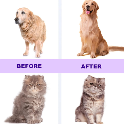 Pet Grooming Kit