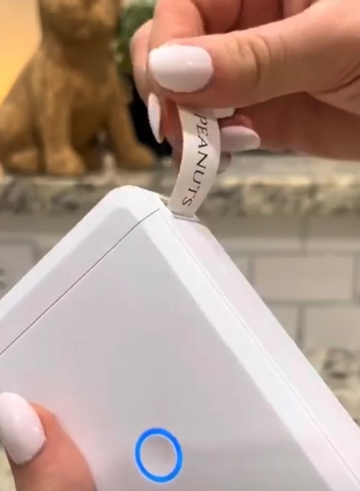 Mini Label Printer