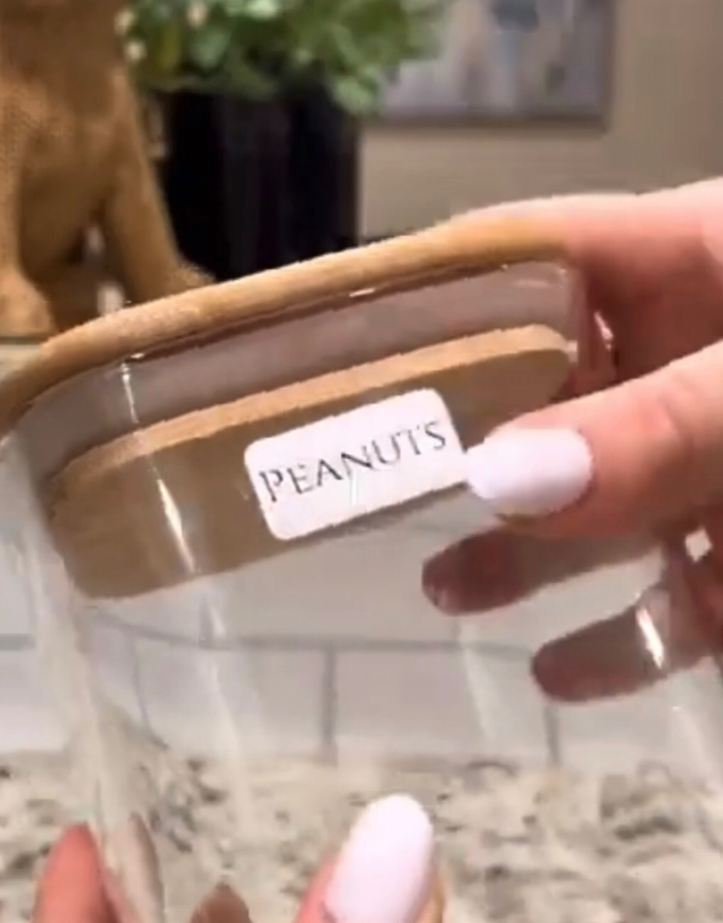 Mini Label Printer