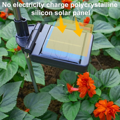 Solar Jellyfish Lights