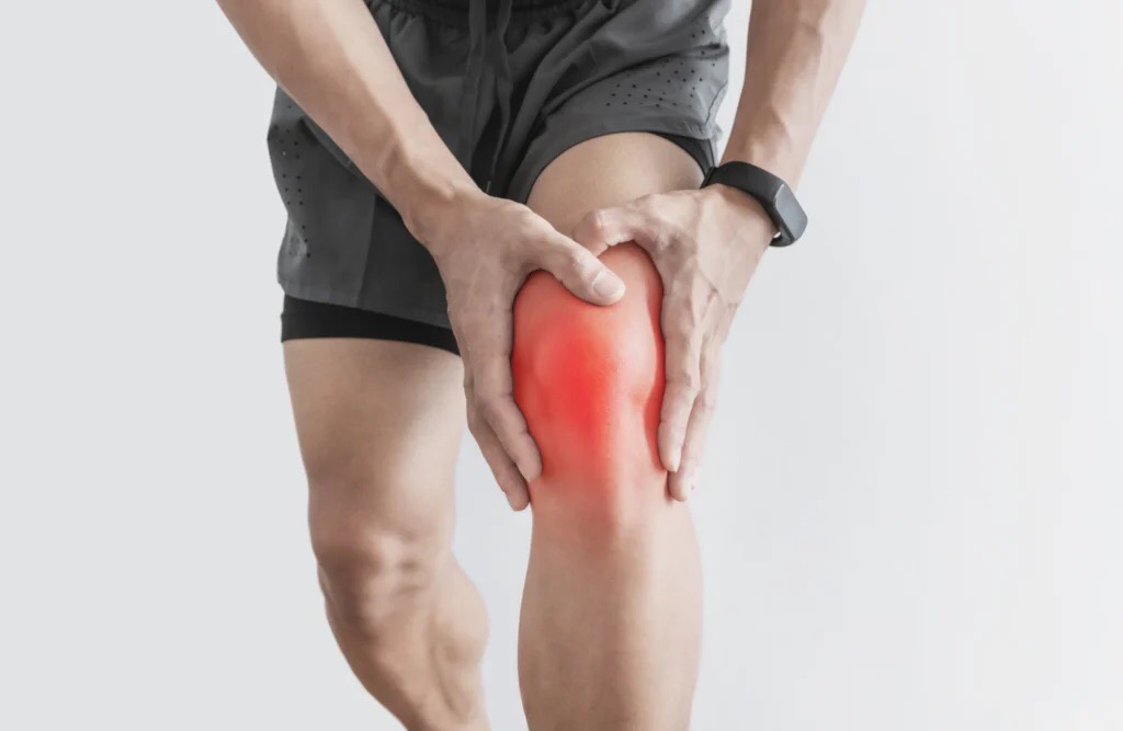 Knee Support (KP015)