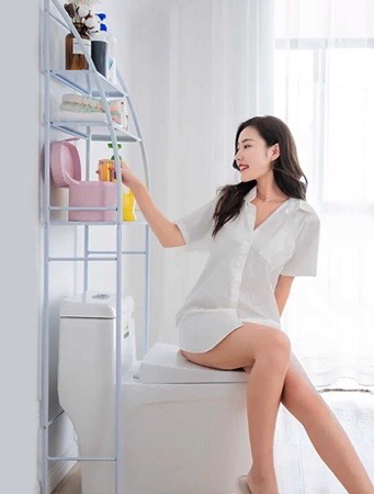 Toilet Rack (8616)