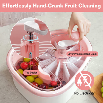 Fruit Washer