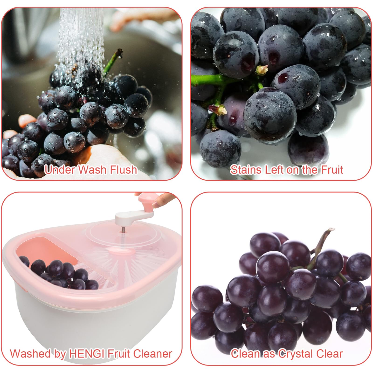 Fruit Washer