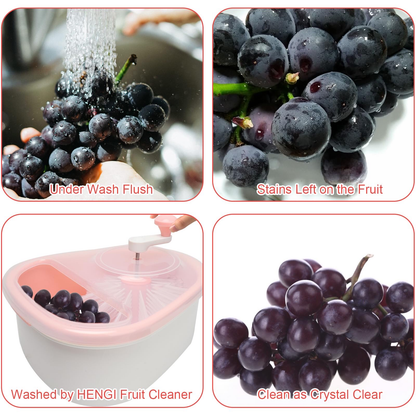 Fruit Washer