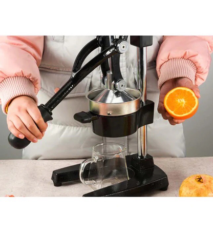 Hand-Press Juicer